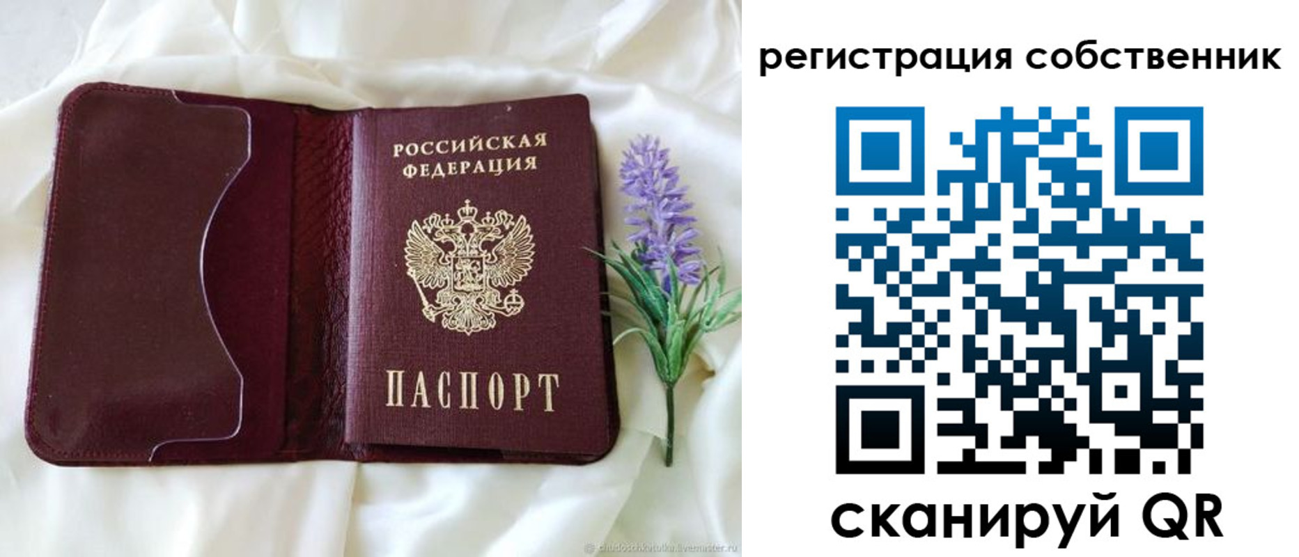 прописка в квартире в Мытищах